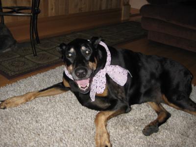 Beautiful Leya in her special scarf..